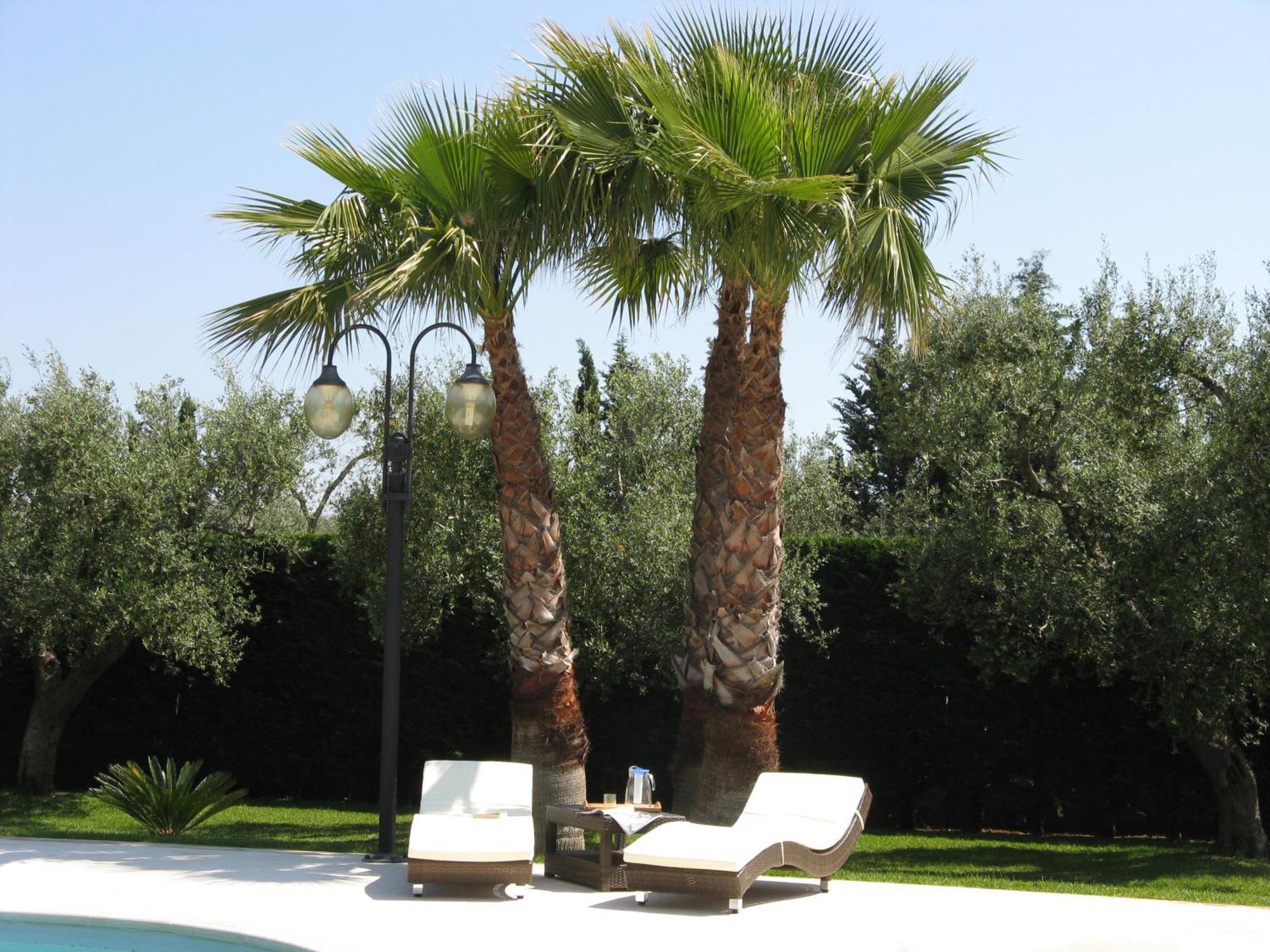 B&B Villa Vittoria Maglie Bagian luar foto