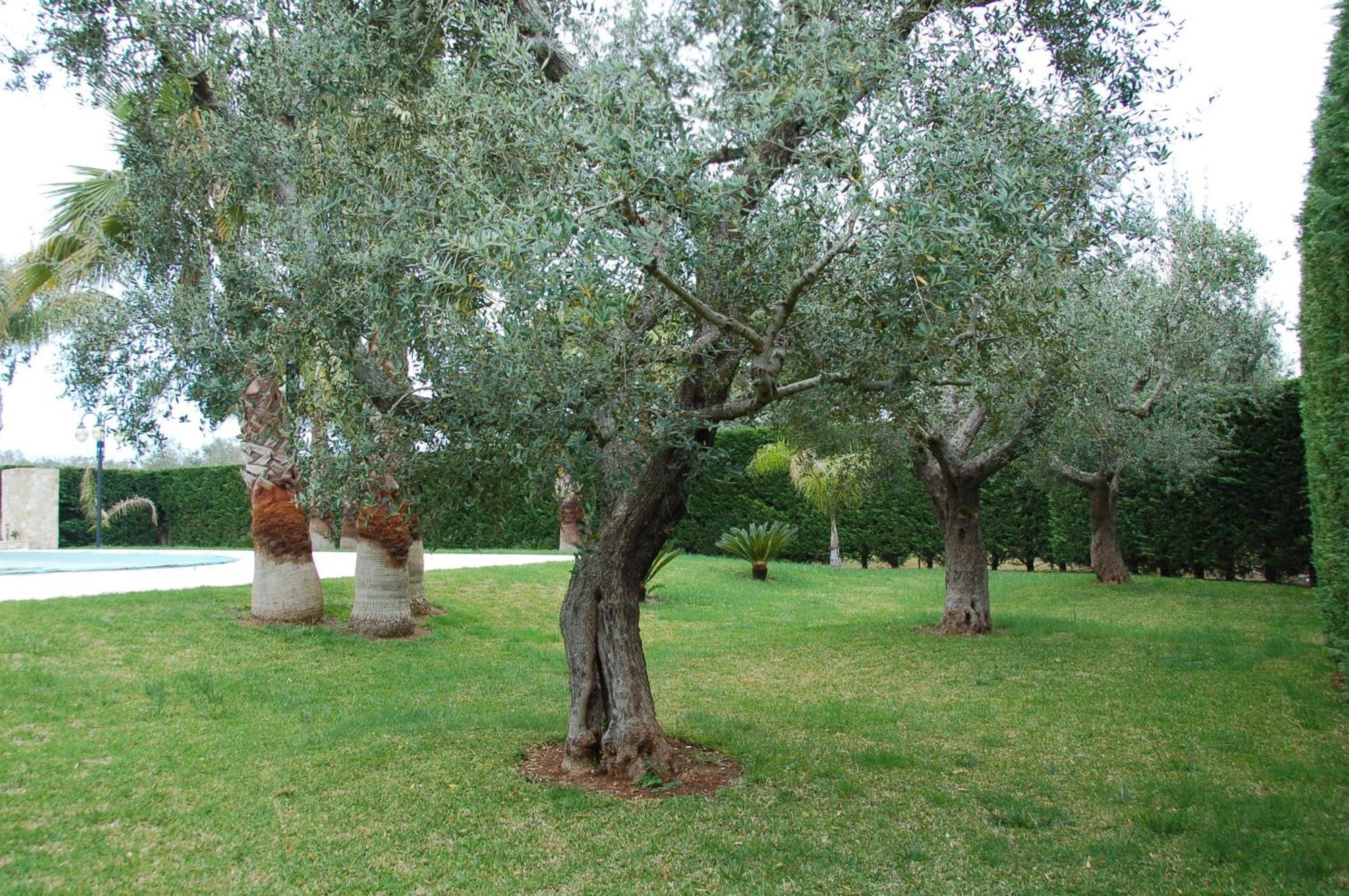 B&B Villa Vittoria Maglie Bagian luar foto
